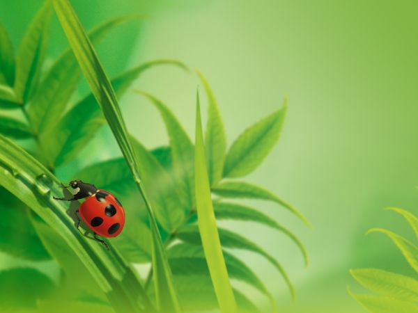 [�� �������]